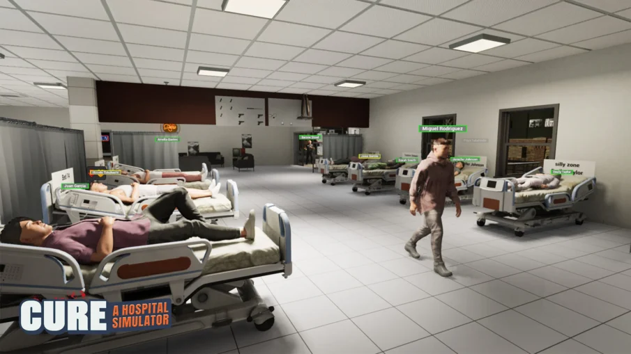 CURE - A Hospital Simulator