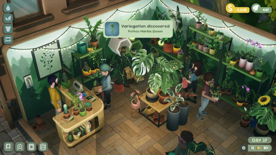 Leafy Corner Leafy Corner
