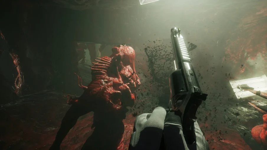 SCP: 5K
